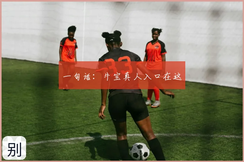 一句话：牛宝真人入口在这